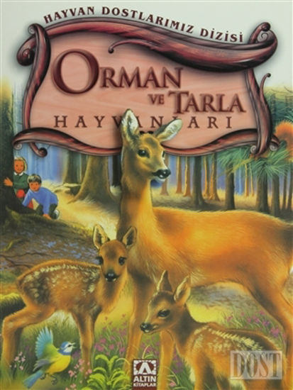 Orman ve Tarla Hayvanları